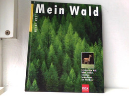 Mein Wald. Erlebensraum Wald. Sehen, Erleben, Verstehen, Fotografieren. Das Aktivbuch - Natuur