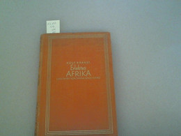 Erlebtes Afrika. Eine Fahrt Von Tanga Nach Kairo - Afrique