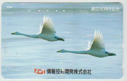 BIRDS - JAPAN - H1994 - 110-016 - Pinguini