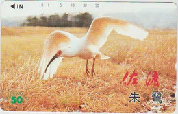 BIRDS - JAPAN - H1996 - 110-66773 - Pinguïns & Vetganzen