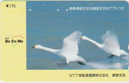 BIRDS - JAPAN - H1999 - 270-02161 - Pinguins