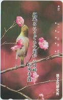 BIRDS - JAPAN - V858 - 110-011 - Altri