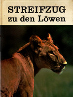 Streifzug Zu Den Löwen. Zeichnungen: Paul Racle. - Nature