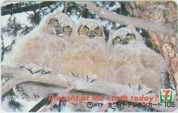 OWL - JAPAN - H101 - 110-011 - Gufi E Civette
