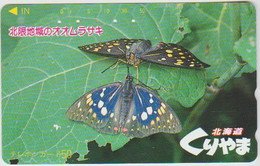 BUTTERFLY - JAPAN - H145 - 430-3849 - Mariposas