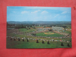 Baseball  Stadium---Little League Williamsport Pa.  ref  5381 - Baseball