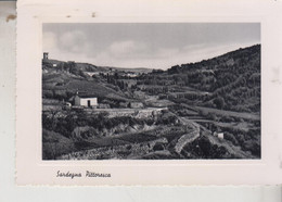 SARDEGNA PITTORESCA  SPEDITA DA CABRAS CAGLIARI  1954 - Cagliari