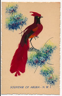 CPA OISEAUX Composition En Plumes De Couleur Souvenir Of Aruba - Uccelli