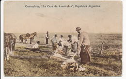 CPA ARGENTINE Costumbres La Caza De Avestruzes Republica Argentina - Argentinien