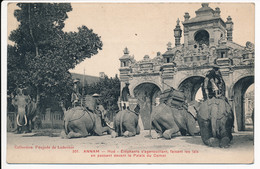 CPA VIET-NAM ANNAM Hué Elephants S'agenouillant Faisant Les Laïs En Passant Devant Le Palais Du Comat - Viêt-Nam