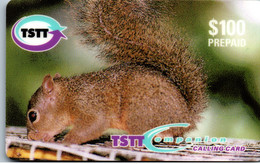 24960 - Trinidad & Tobago - TSTT , Hungry Little Squirrel , Eichhörnchen - Trinidad En Tobago