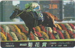 HORSE - JAPAN - H324 - Paarden