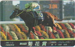 HORSE - JAPAN - H324 - Horses