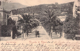 RICORDO DI NERVI - VIALE DELLE PALME - 1908 / P179 - Genova (Genoa)