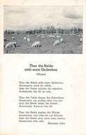 ÜBER DIE HEIDE GEHT MEIN GEDENKEN - GEDICHT VON HERMANN LÖNS / P189 - Altri & Non Classificati