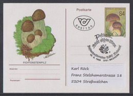 Österreich 1989  FDC Postkarte Ausgabe Fichtensteinpilz - Stamped Stationery