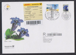 Deutschland 2011 Reko FDC Mi Nr: 2877 Ausgabe Freimarke Blumen " Stengelloser Enzian " - Briefe U. Dokumente