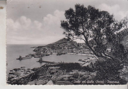 ISOLA DEL GIGLIO GROSSETO PORTO PANORAMA  1954 - Grosseto