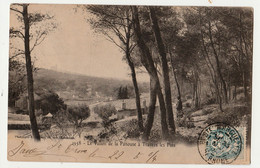 MARSEILLE (13) – Le Vallon De La Panouse à Travers Les Pins. Phototypie E. Lacour, Marseille, N° 1158  PRECURSEUR  CIRCU - Non Classés