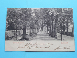 ARWENACK Avenue > Falmouth ( Stengel & C° - 18777 ) Anno 1904 ( See Photo )  ! - Falmouth