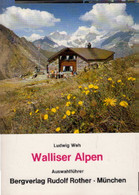 Walliser Alpen : Eine Auswahl Der Beliebtesten Anstiege Auf Die Viertausender Und Die Interessantesten Gipfel - Sonstige & Ohne Zuordnung