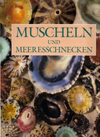 *Muscheln Und Meeresschnecken - Botanik