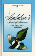 Audubon's Birds Of America: Die Vogelwelt Amerikas - Natuur