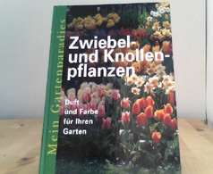 Mein Gartenparadies - Zwiebel- Und Knollenpflanzen - Botanik