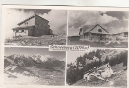 A5615) SCHNEEBERG - Österreichischer Touristenklub - Damböckhaus - Baumgarnterhaus Usw. ALT 1958 - Schneeberggebiet
