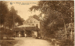 CPA-LA GILEPPE " Hôtel Du Lion De La Gileppe " - Gileppe (Stuwdam)