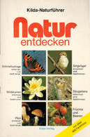 Natur Entdecken : Schmetterlinge, Singvögel, Wildblumen, Säugetiere, Pilze, Früchte Und Beeren Erkennen Und Be - Botanik