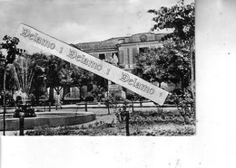 ABRUZZO -- AQUILA E PROV. -- SCURCOLA MARSICANA  Alt 710 --  Giardini Pubblici E Monumento Ai Caduti - Avezzano