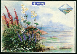 Ga Aland Islands Postal Stationary Postcard 2000 MiNr P 4 Mint - Aland
