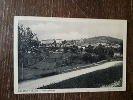 L38/1771 BELMONT . VUE GENERALE - Belmont De La Loire