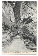 SÄCHS. SCHWEIZ  --  PARTIE AN DEN SCHWEDENLÖSCHERN  ~ 1905 - Bastei (sächs. Schweiz)