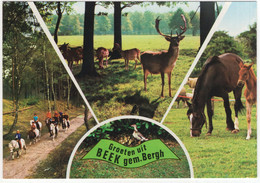 Groeten Uit Beek Gem. Bergh - (Gelderland / Nederland) - Nr. L 3333 - Dieren - Sonstige