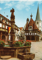 011563  Michelstadt - Historisches Rathaus - Michelstadt