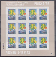 Poland Label - Balloon 1993 (F046): Exhibition Polska 93 (sheet) - Ballonpost