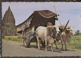 Char à Bœufs - Cow Cart With Temple Candi Prambanan - Central Java. Oxcart, Ossenwagen - Indonesia
