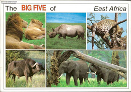 The Big Five Of East Africa, Löwe, Nashorn, Elefant, Leopard Mehrbildkarte - Kenya