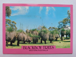 [WESTERN AUSTRALIA] - 1992 - Blackboy Trees - Andere & Zonder Classificatie