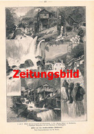 A102 950 - Wilhelm Gause Mühlviertel Oberösterreich Mühlkreis Artikel Von 1899 !! - Sonstige & Ohne Zuordnung