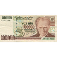 Billet, Turquie, 100,000 Lira, 1991, KM:205, TTB+ - Türkei