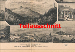 A102 975 - Ferdinand Lindner Teutoburger Wald Detmold Artikel Mit Bilder 1879 !! - Autres & Non Classés