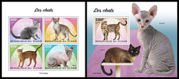 CHAD 2021 - Cats, M/S + S/S. Official Issue [TCH210404] - Gatos Domésticos