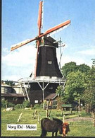 Nederland Holland Pays Bas Norg Met De Molen - Norg