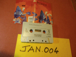 MICHEL POLNAREFF K7 AUDIO VOIR PHOTO...ET REGARDEZ LES AUTRES (PLUSIEURS) (JAN 004) - Cassettes Audio