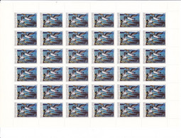 URSS Feuille Complète      Common Goldeneye (Bucephala Clangula)   1990 - Full Sheets