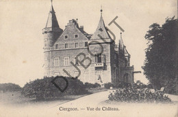 Delcampe - Postkaart/Carte Postale - CIERGNON - Vue Du Château (C1615) - Houyet