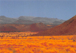 SOUDAN Sudan Nyala Jebel Si South DARFUR Dry Season Landscape Of Jebel   N° 6 \MK3019 - Sudan